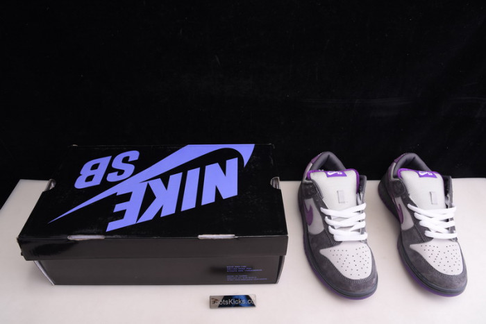NIKE DUNK LOW PRO SB