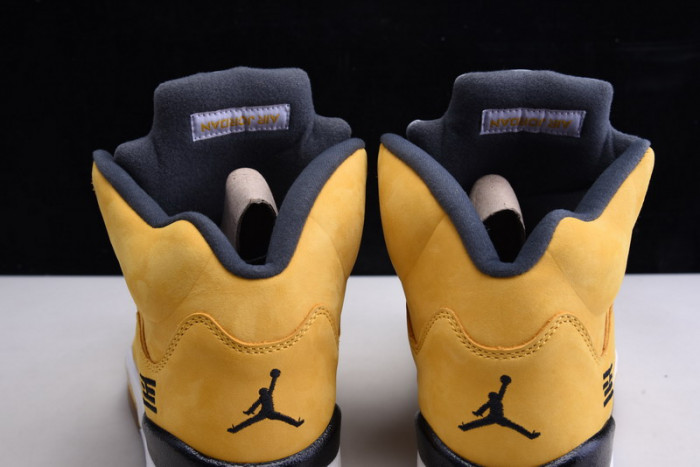 Air Jordan 5 Retro Tokyo T23 454783-701