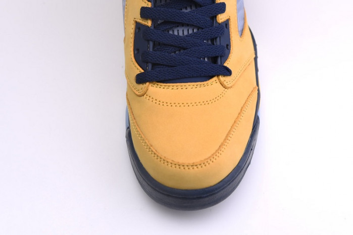 Air Jordan 5 Retro SP