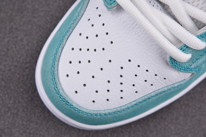 Nike Dunk SDCAI SB Low FD2562-400
