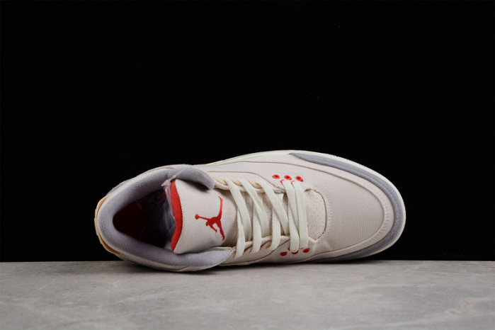 Air Jordan 3 Retro SE