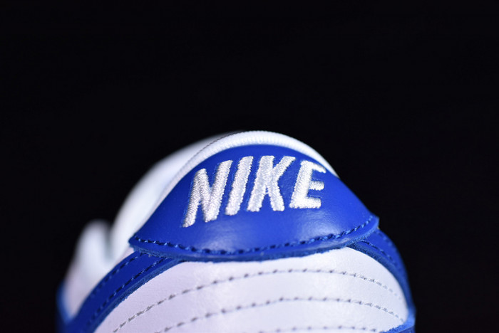 Nike dunk low sb kentucky CU1726-100