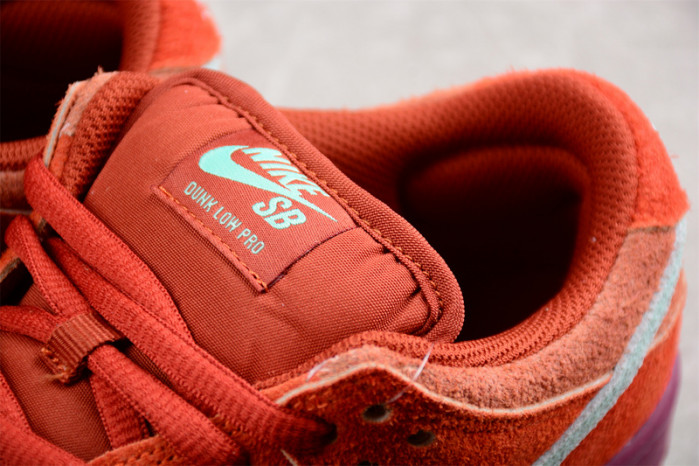 Nike SB Dunk Low