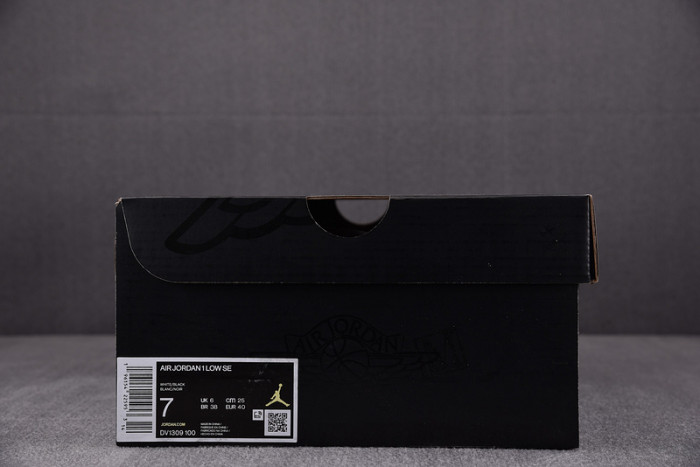 Air Jordan 1 Low SE Concord DV1309-100
