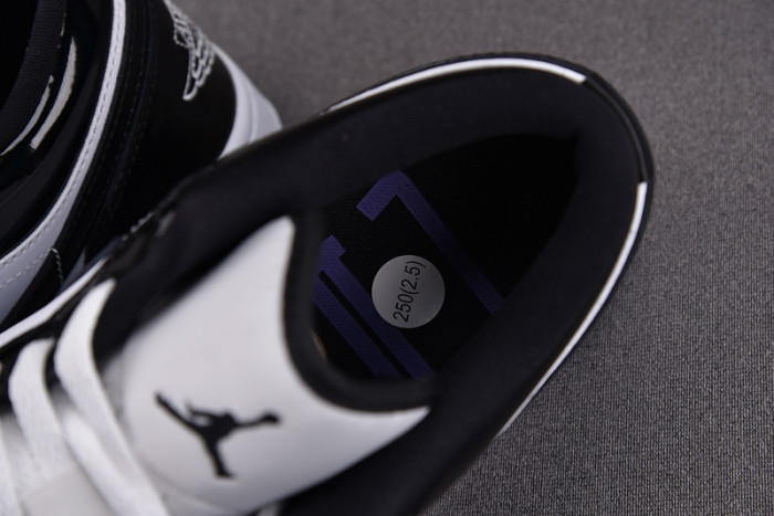 Air Jordan 1 Low SE Concord DV1309-100
