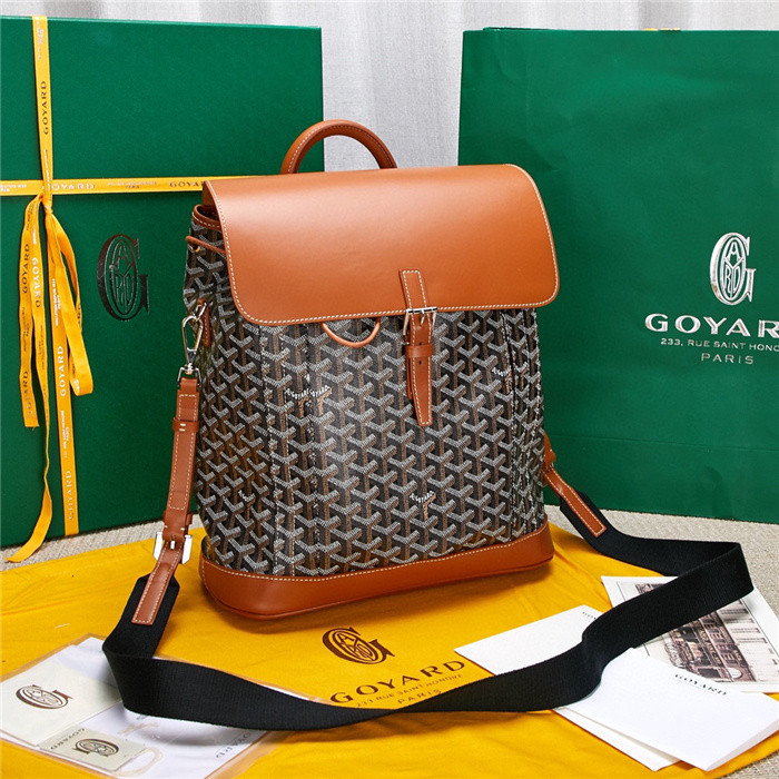 GOYARD BAG4