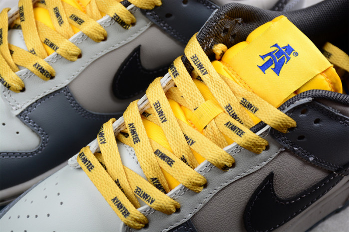 Nike Dunk Low North Carolina A&T DR6187-001