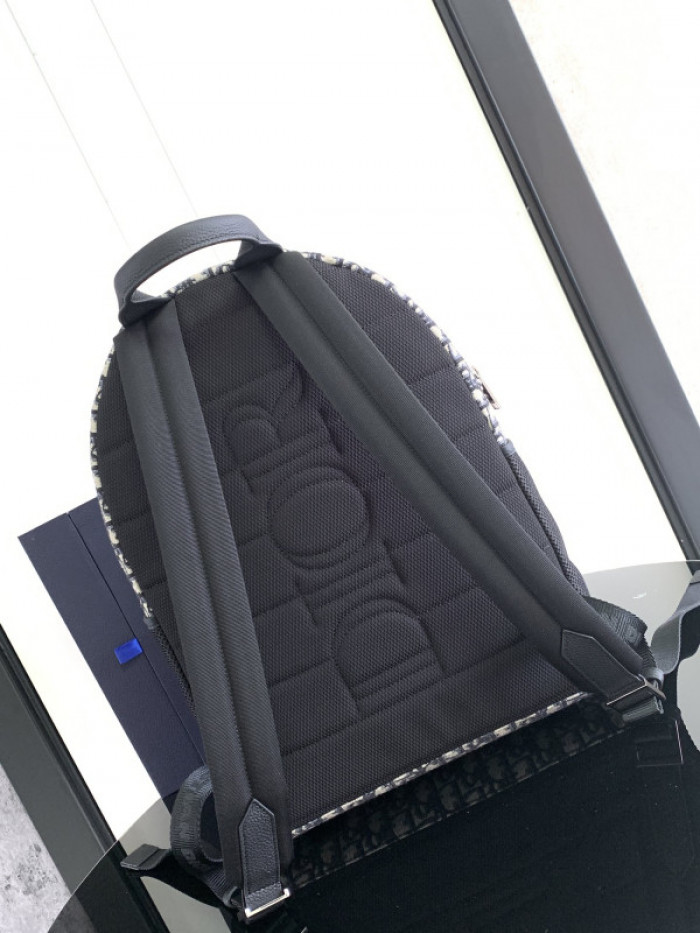 Dior BAG 38