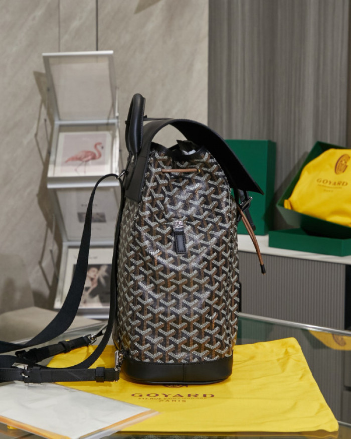 GOYARD BAG12