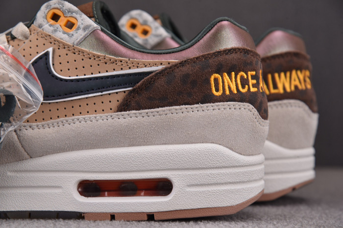 Nike Air Max 1